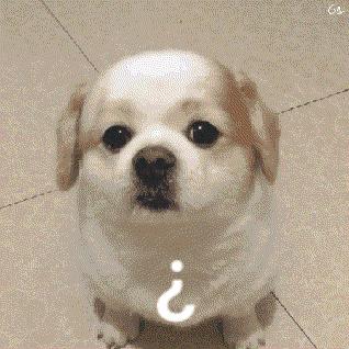 DƬ